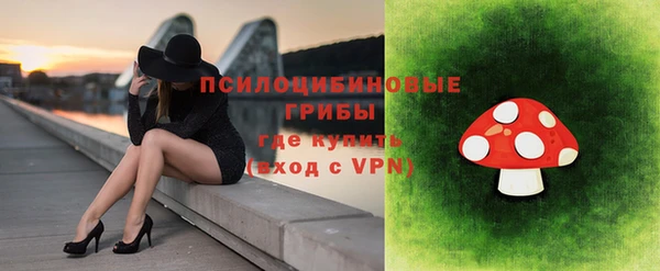 герыч Алексин