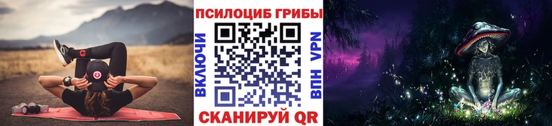 наркотики  Камышин  Псилоцибиновые грибы Psilocybine cubensis 